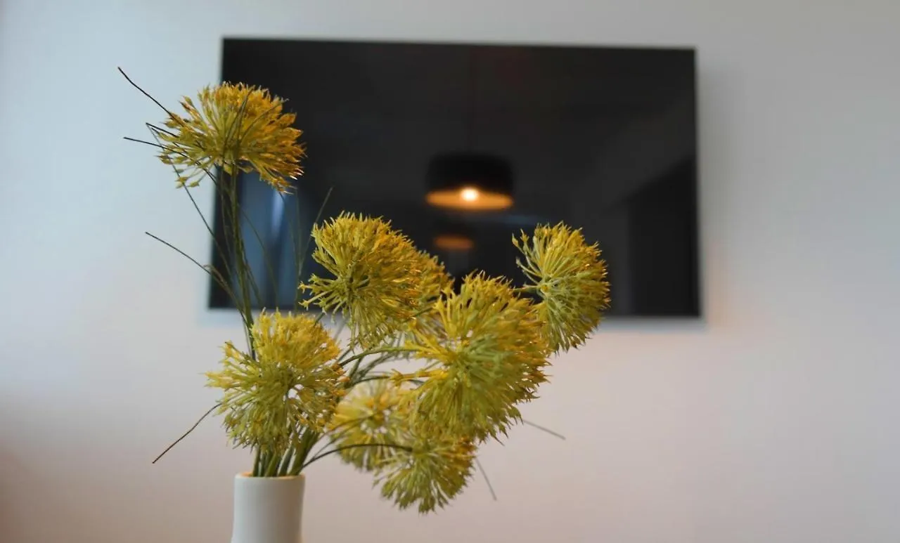 Apartment Flora Pula 0*,  Croatia